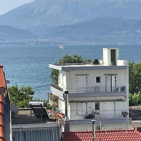 Διαμέρισμα Στη Ναύπακτο 纳弗帕克托斯 外观 照片